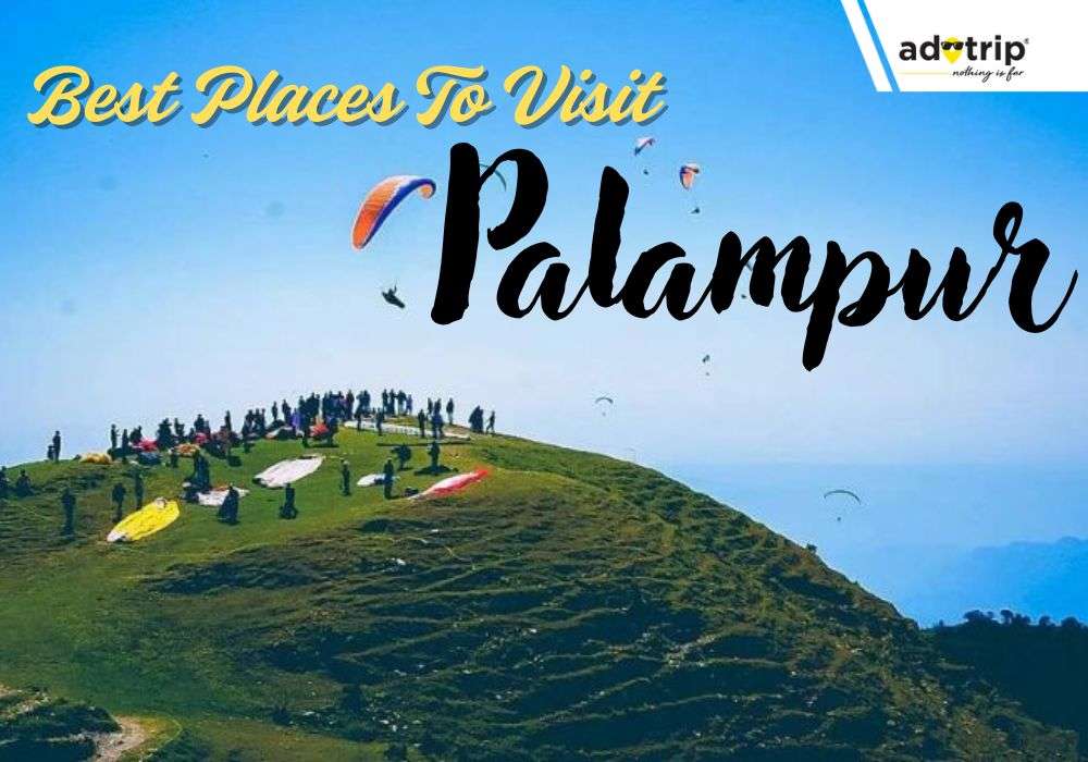 Places To Visit In Palampur
